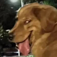 AAA全险半挂方师傅