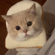 地平线Q起来一枪不中