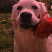 她与春风皆过客