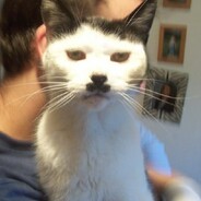 catLER