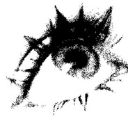 31 avatar