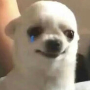 巧克力麻薯一份