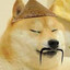 DOGE