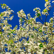 Я разочарован