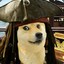 CaptainDoge