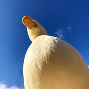 嘠