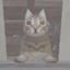 Paharito's avatar