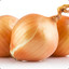 Onion141