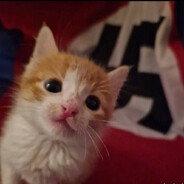 естественный отб