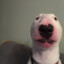 maxsimys