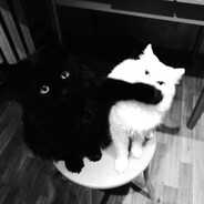 Avatar of я мечтаю о Токио