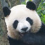 烈火修购