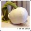OnionK9