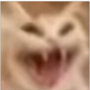 [CAT] WaterTempleFiend