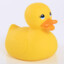 Rubberduck_DieGummiente