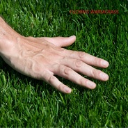 Warmgrass