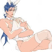 冬木市动物保护协会