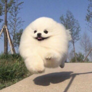 ok twitch.tv/gromnak