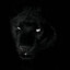 Panther