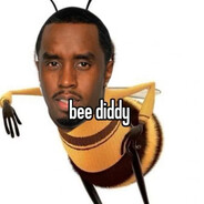 Bee Diddy