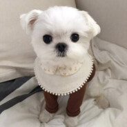 热乎乎的小米粥