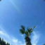 售后QQ1501922325
