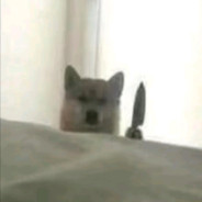 转生成安倍被两枪做掉