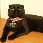 Oberfeldwebel Meowler