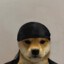 Durag Dog 263