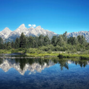 rubyalmond22766 avatar