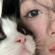 阳光开朗大牛子