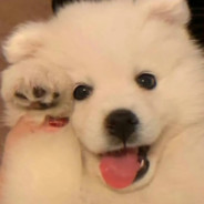 八十二岁带病干拉