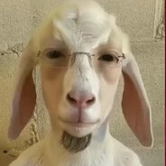 Gracjan Żęfę - steam id 76561198305263114