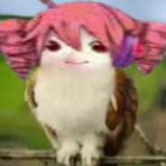 Rainki