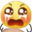 大怨种