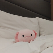 我的錢包快被榨乾了