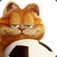 MR_Garfield