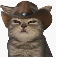 Cowboy Cat