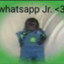 whatsapp jr.