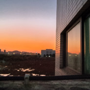 我菜别骂我好吗