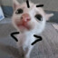 从不回头看