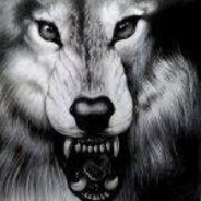 Агрессивный_Волк