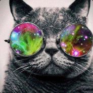 ChoKe - steam id 76561197960969228