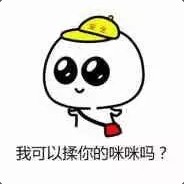 我可以摸你的咪咪吗？