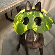 AEIRN - steam id 76561199522814732