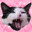 KingKimchi avatar