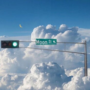 焦糖飞天紫甘蓝