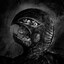 Evil Reaver Avatar of player Evil Reaver