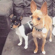 Johnsson - steam id 76561197968914413