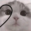 I Sniff Raw Cocainium